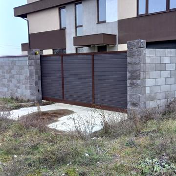 виноградна