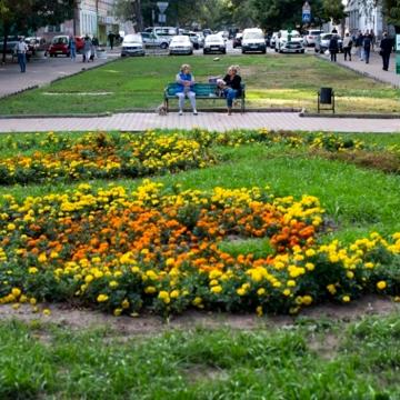 Базарна вул., 73