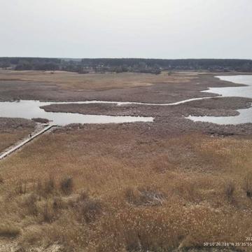 Дачне моволодіння з виходом у волосховище