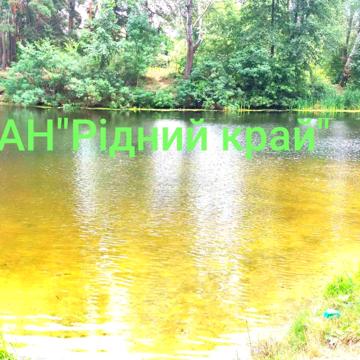 Ромашкова вул.
