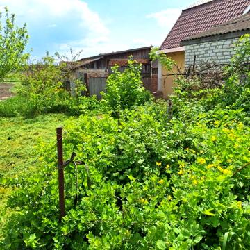 Продам 1/4 часть дома (статус квартиры)
Возле дома огород, сад и хоз п