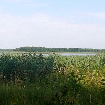 Будино біля озера, перша лінія