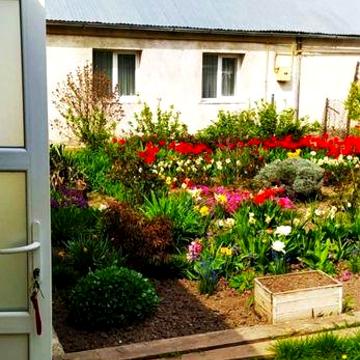 Продаж будинку м. Волочиськ вул. Фридрихівська