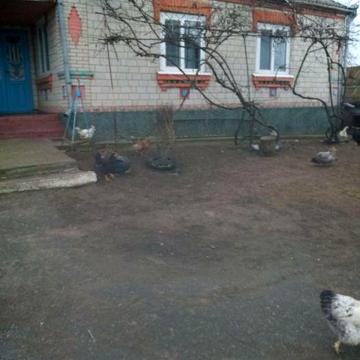 Будинок з ремонтом
