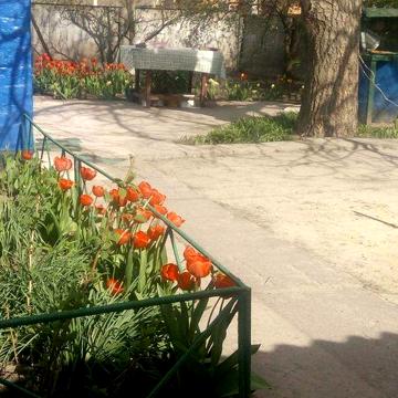 Продам будинок в селі Ковалівка