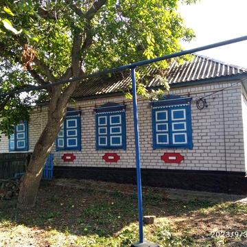 Два будинки на одній ділянці в селі Вільна Терешківка