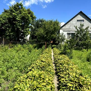 Продам житловий будинок з літньою кухнею