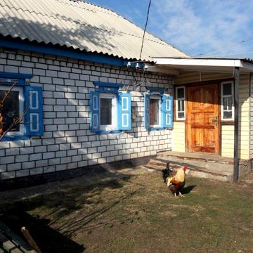 Продам будинок в с.Нова Знамянка Великий Шлях 84