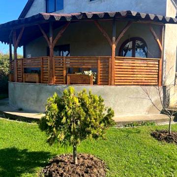 Продаж будинку в Берегові, с. Велика Бакта