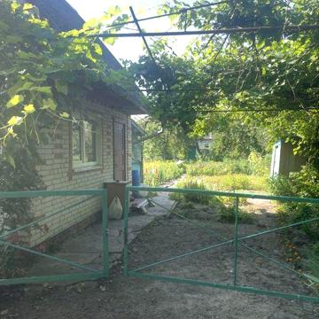 Дача район Старого села