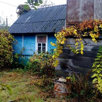 Дача на Ст. Подусовці під лісом. Ідеально для будівництва. 5 соток.