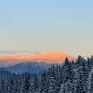 Яблуниця 6 км до Буковеля три будинки бізнес