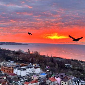 Квартира Лузановский парк.Аренда большая-35 м.кв.
ВИДОВАЯ ШИКАРНАЯ 1кв
