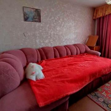 Оренда 3-х.кім.кв. по вул.Київська район ГЛОБАЛа
