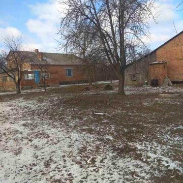 Продаж будинку  Полтавська обл.с Нові Мартиновичі