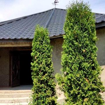 Продаж будинку(гот. 80 проц.) с.Королево вул. Павлова 17 Закарпаття