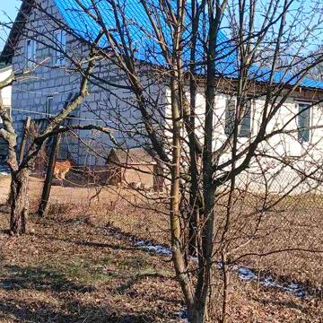 Продаж будинку 100 м2 в с. Малютянка