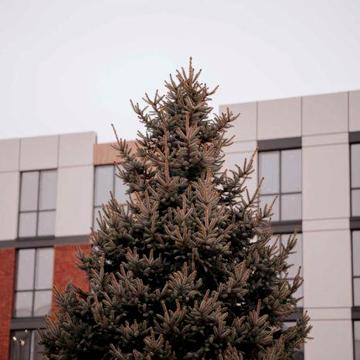 Смарт-квартира 21,05м від забудовника! ЖК Sanville Park