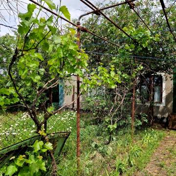 Продам будинок село Широке Роздільнянський район
