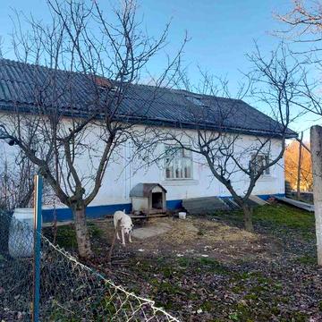 Продаж старого будинку на роші.