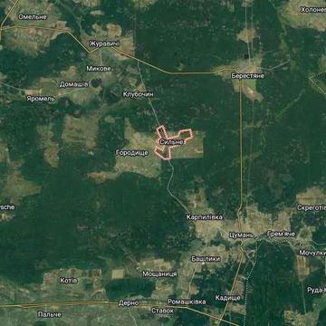 Будинок деревяний,в селі Сильне ківерцівський район,