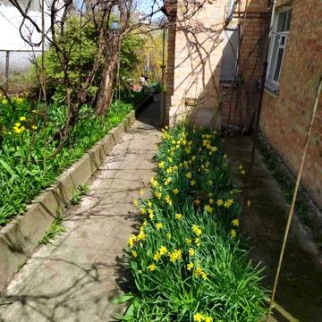 Продам будинок Ластівчине гніздо