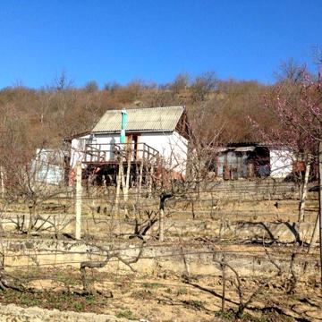 Продам дачу в Виноградові