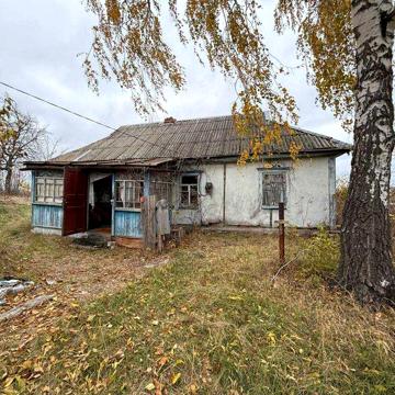 Продаж будинку 47,6м2+ділянка 25сот,с.Леонівка,Макарівський р-н.ID:635