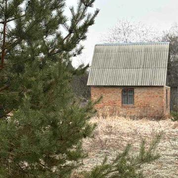 Дача в Березанці, ст Мрія