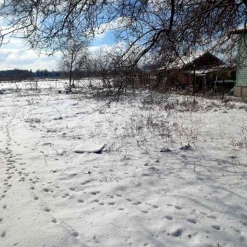 Продам будинок в Ніжині