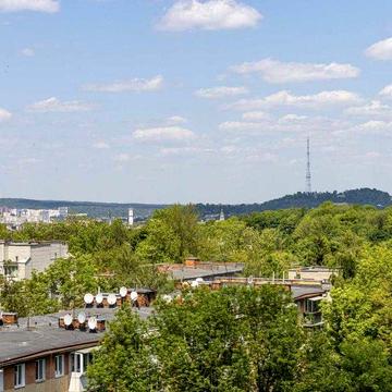 3 Квартира, Пентхаус, Героїв Крут,  Тераса, Бізнес клас, Львів