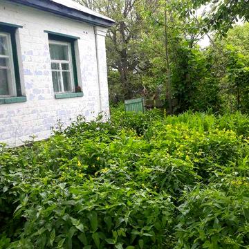 Будинок в селі з земельною ділянкою