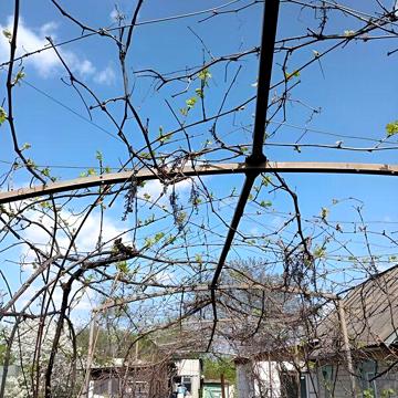 Продажа 4к дом Скворцова вулиця