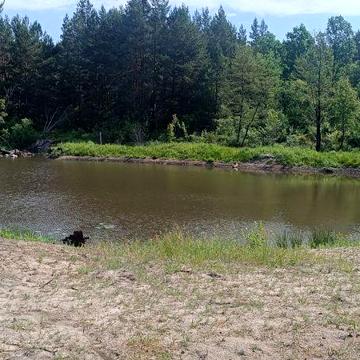 Продається будинок із великою земельною ділянкою в мальовничому місці!