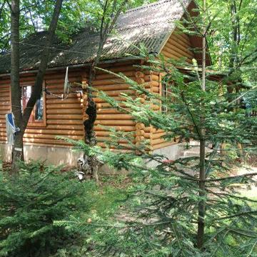 Здається будинок-сруб в затишному місці.