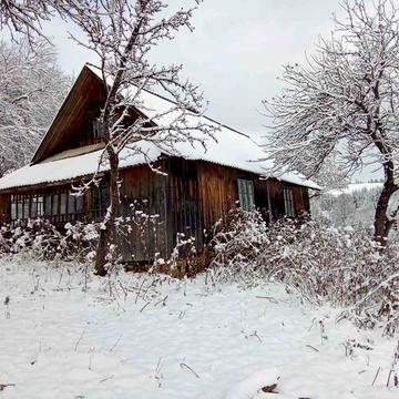 Житловий будинок в Карпатах та земельна ділянка
