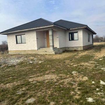Будинок американка