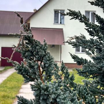 Отця Іздрика вул.