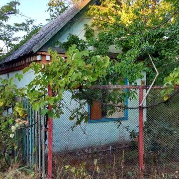 Дача. Садове товариство.