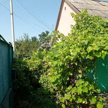 Дом в центре города с удобствами