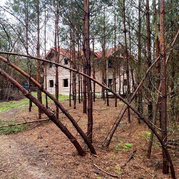 Сруб під Києвом 250 м2 на 1 га соснового ліса  в еко-поселенні