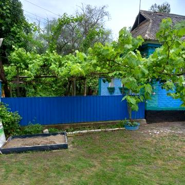 Продаж 1 поверхового будинку і ділянкою на 1 га,