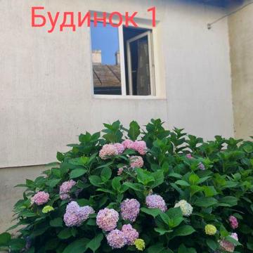 Продаж будинків в Дрогобичі