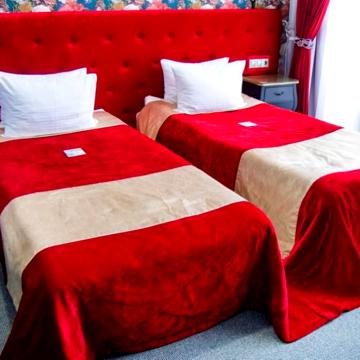Двухместный номер с отдельными кроватями и доступом к SPA 9_2