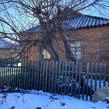 Продається будинок в центрі Новгородки/Камʼянець