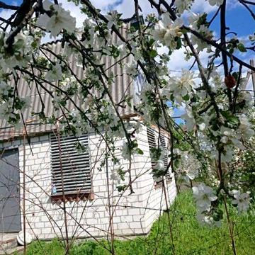 Терміново продам літню не приватизовану дачу