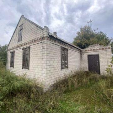 Продам дім Петриківка,с.Іванівка