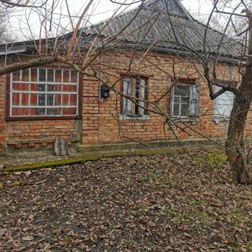 Дачний будинок с земельною ділянкою 33 сотки (30км від Полтави)