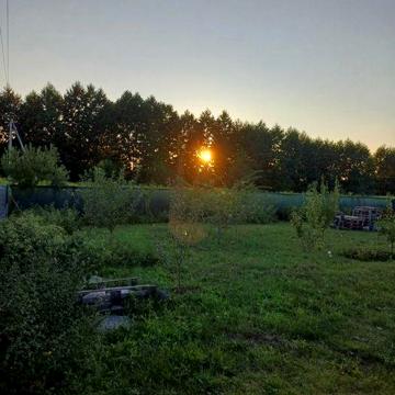 Будинок. Дача. Ділянка