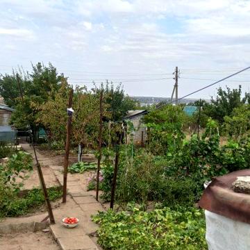 Дача в Родниках (Балдіно) 5 соток із будинком (приватизована)